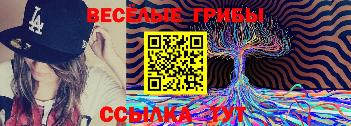 Ростов-на-Дону  Псилоцибиновые грибы Psilocybe  Вход с VPN 